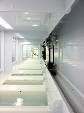 PVDF Immersion Wetbench